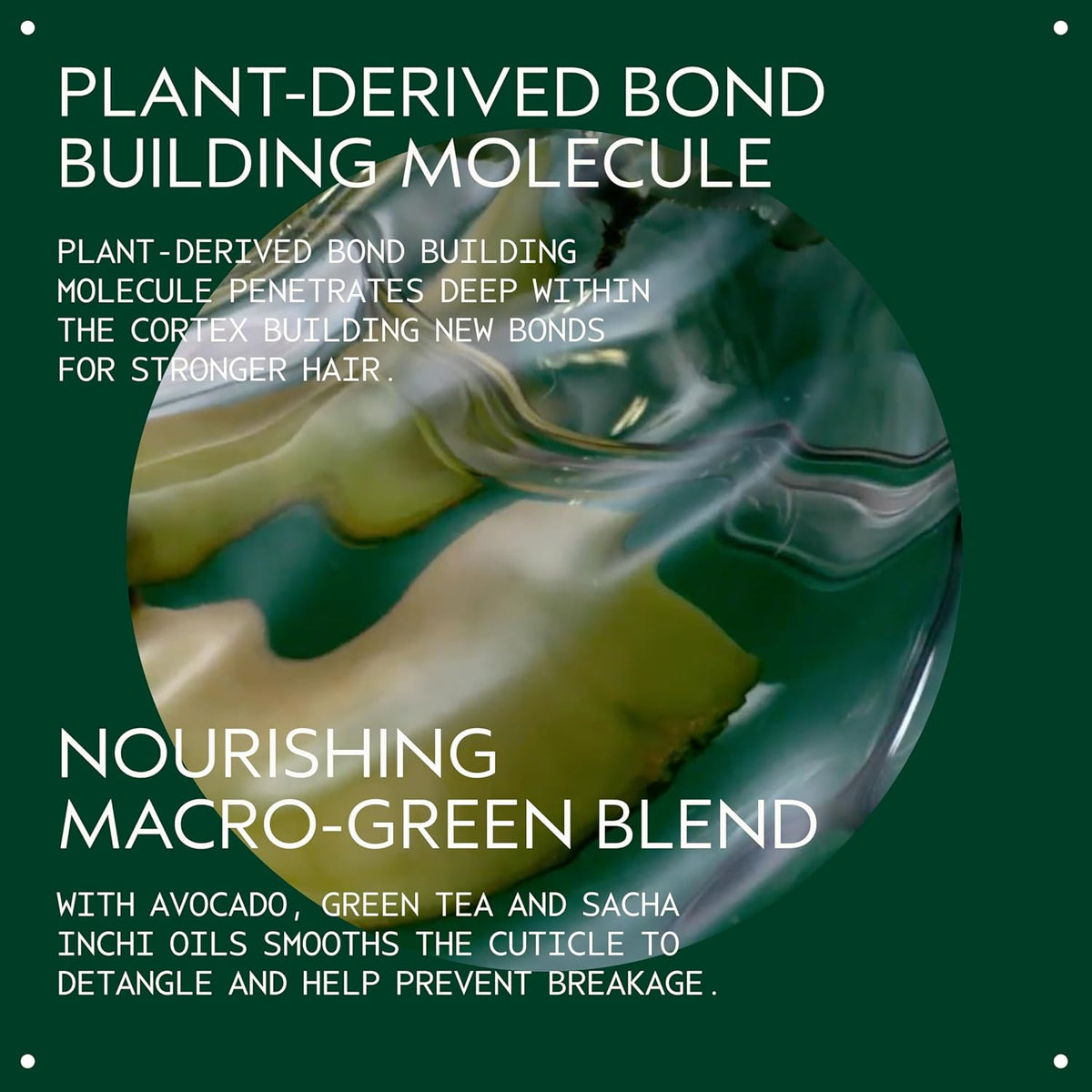 Aveda Botanical Repair Strengthening Shampoo | Strengthens and Repairs Damaged Hair | Bond-Building Shampoo | 94% Naturally Derived* | Silicone Free